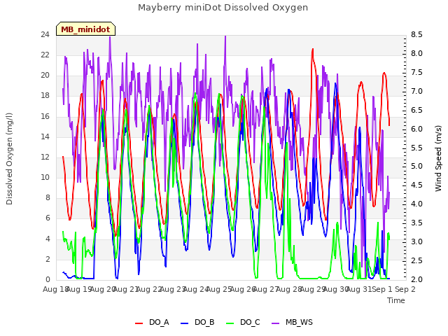 plot of Mayberry miniDot Dissolved Oxygen