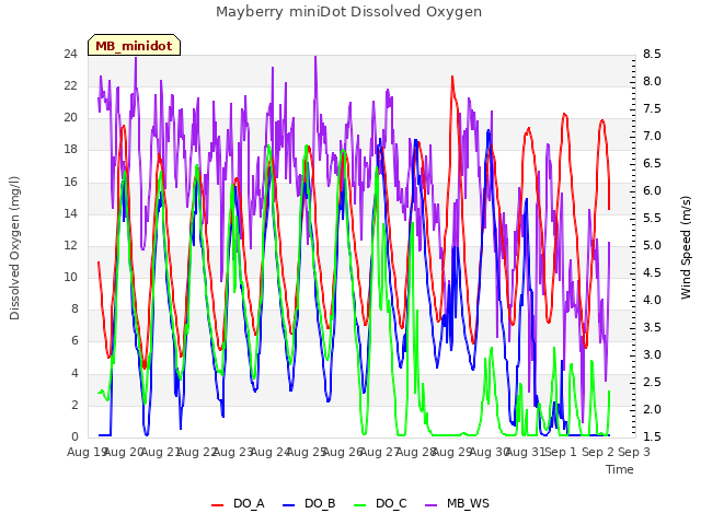 plot of Mayberry miniDot Dissolved Oxygen