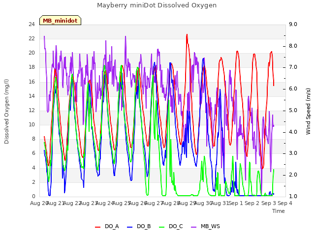 plot of Mayberry miniDot Dissolved Oxygen