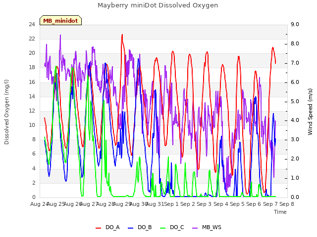 plot of Mayberry miniDot Dissolved Oxygen