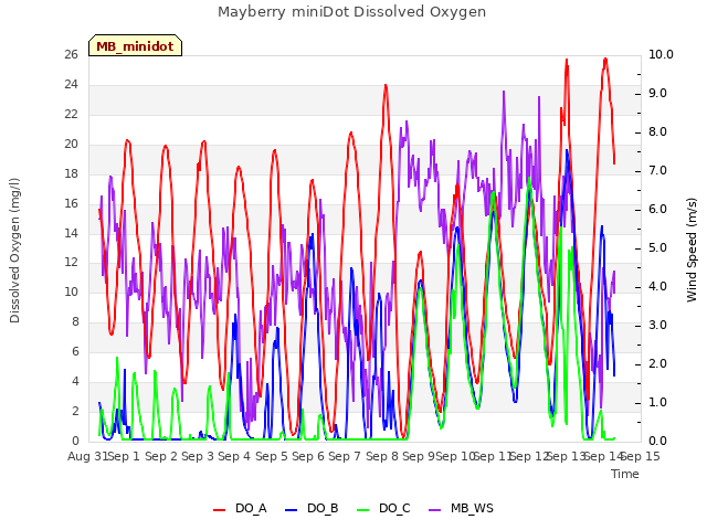 plot of Mayberry miniDot Dissolved Oxygen