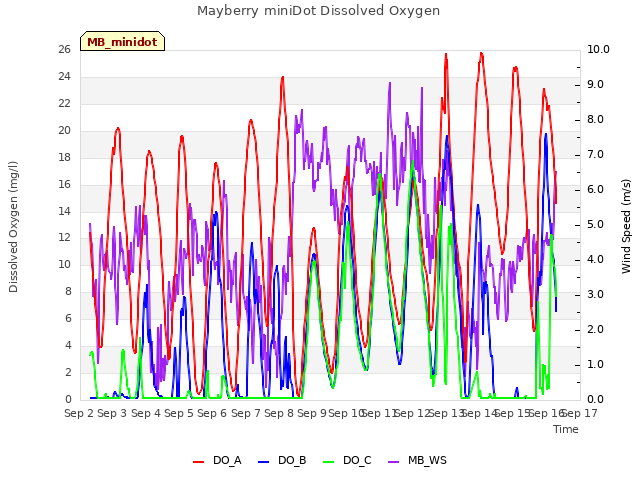 plot of Mayberry miniDot Dissolved Oxygen