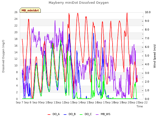 plot of Mayberry miniDot Dissolved Oxygen