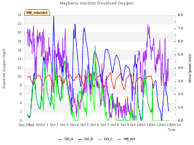 plot of Mayberry miniDot Dissolved Oxygen