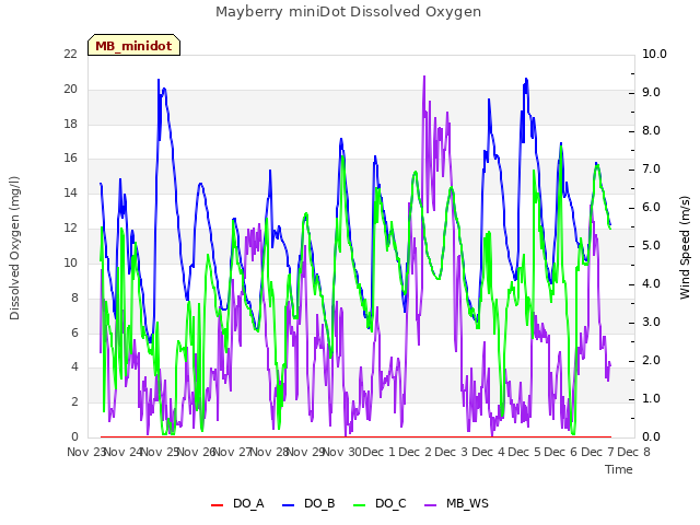 plot of Mayberry miniDot Dissolved Oxygen