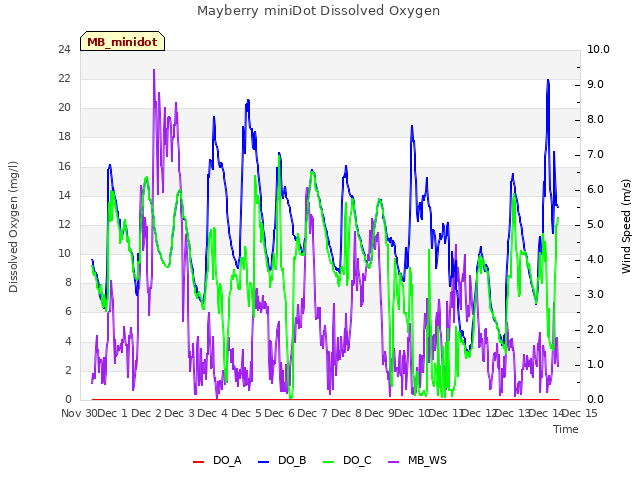 plot of Mayberry miniDot Dissolved Oxygen