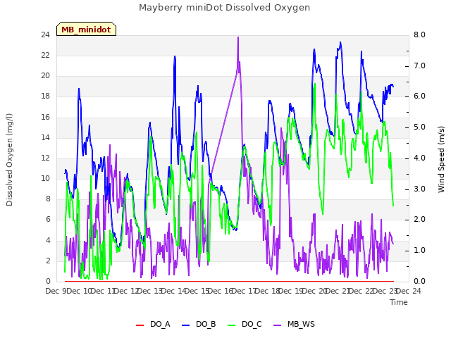 plot of Mayberry miniDot Dissolved Oxygen