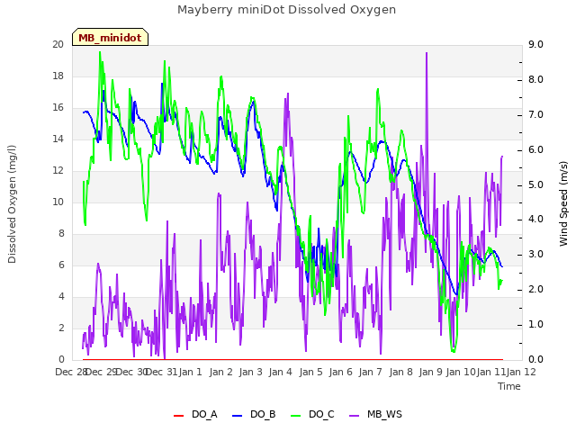 plot of Mayberry miniDot Dissolved Oxygen