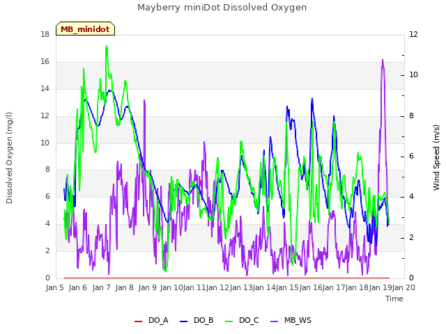 plot of Mayberry miniDot Dissolved Oxygen