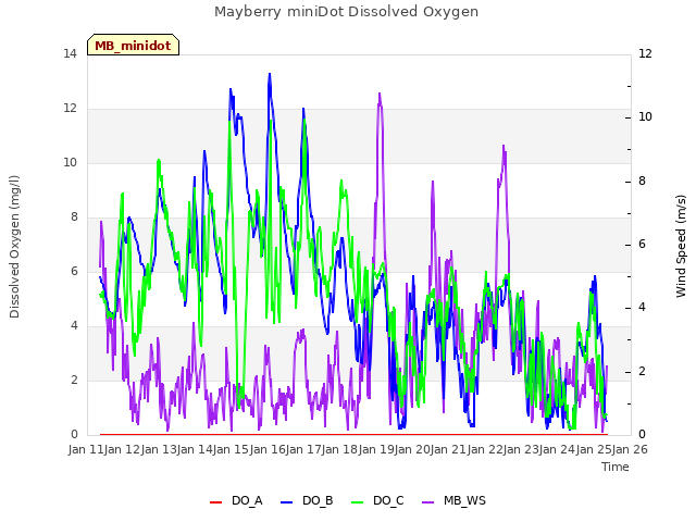 plot of Mayberry miniDot Dissolved Oxygen