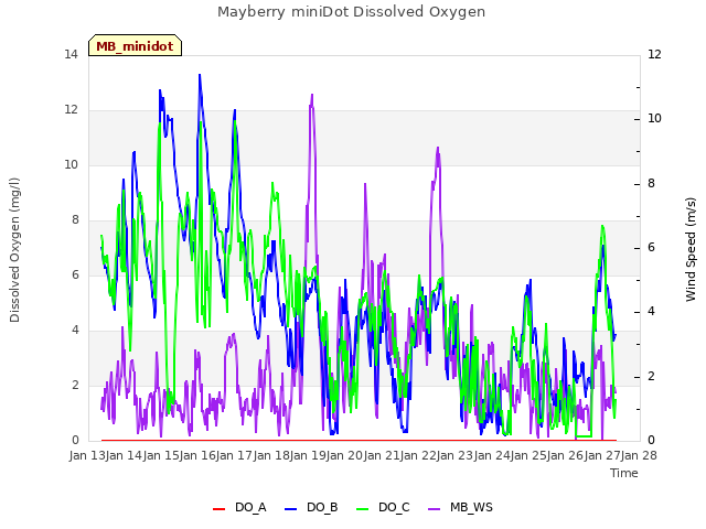 plot of Mayberry miniDot Dissolved Oxygen