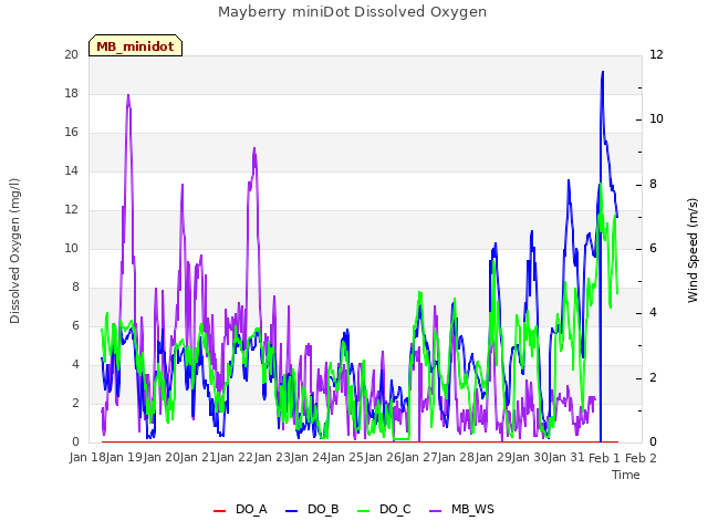 plot of Mayberry miniDot Dissolved Oxygen