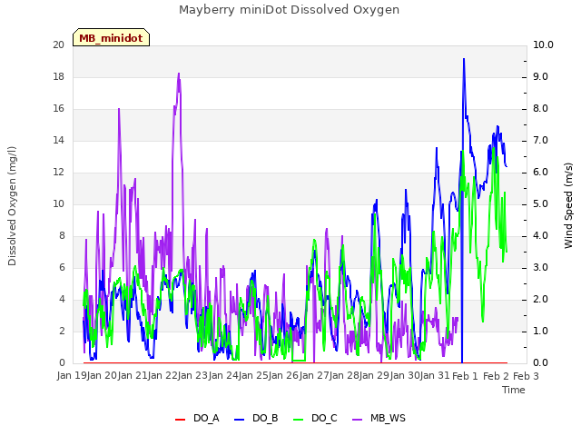 plot of Mayberry miniDot Dissolved Oxygen