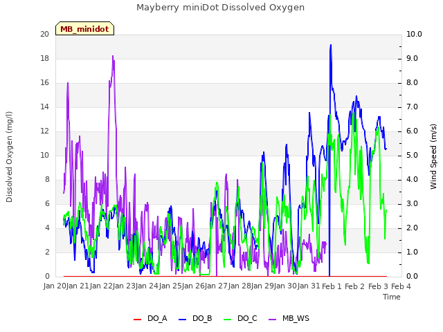 plot of Mayberry miniDot Dissolved Oxygen