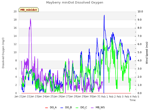 plot of Mayberry miniDot Dissolved Oxygen