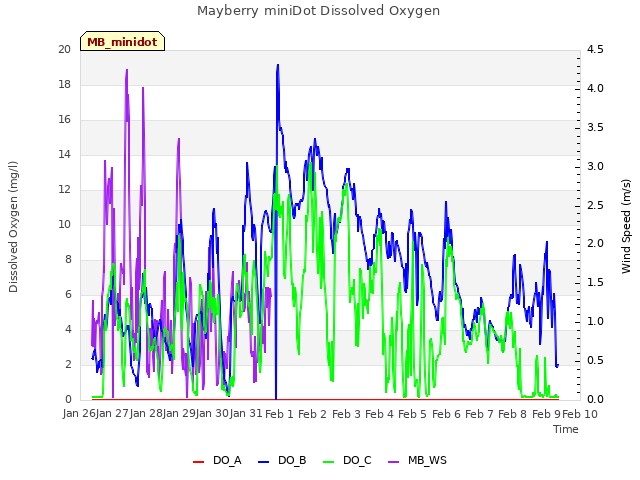 plot of Mayberry miniDot Dissolved Oxygen