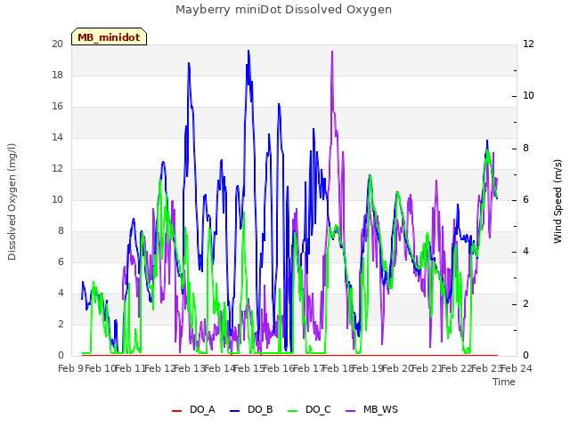 plot of Mayberry miniDot Dissolved Oxygen