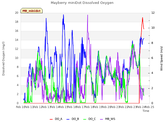 plot of Mayberry miniDot Dissolved Oxygen