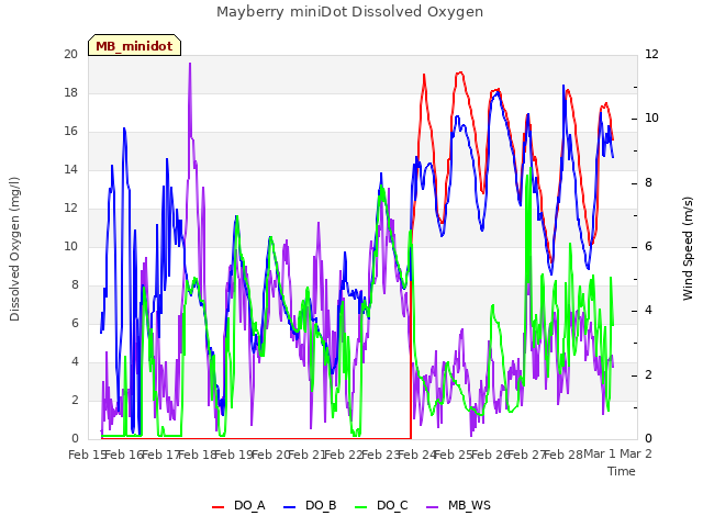 plot of Mayberry miniDot Dissolved Oxygen