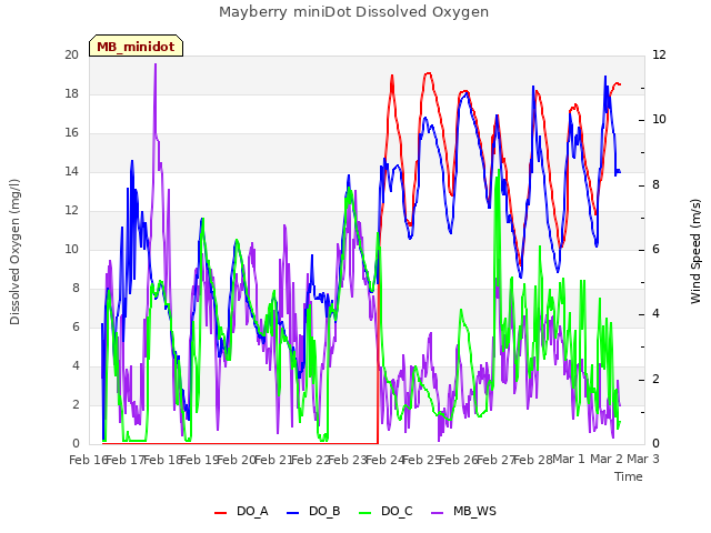 plot of Mayberry miniDot Dissolved Oxygen