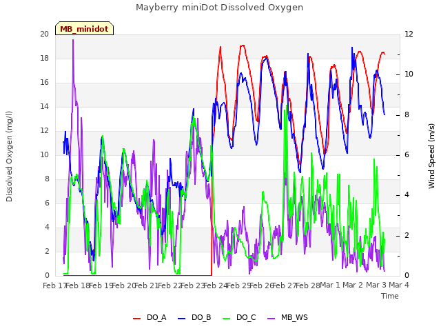 plot of Mayberry miniDot Dissolved Oxygen