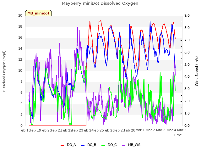 plot of Mayberry miniDot Dissolved Oxygen