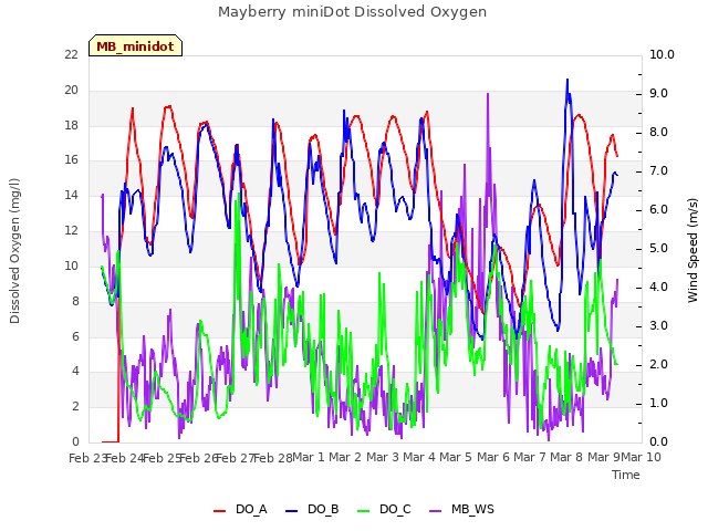 plot of Mayberry miniDot Dissolved Oxygen