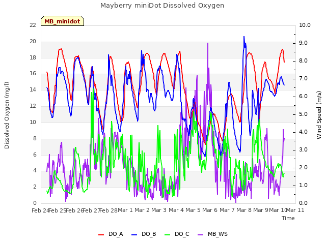 plot of Mayberry miniDot Dissolved Oxygen