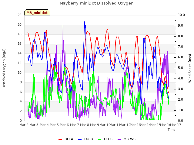 plot of Mayberry miniDot Dissolved Oxygen