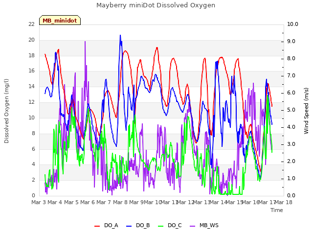 plot of Mayberry miniDot Dissolved Oxygen