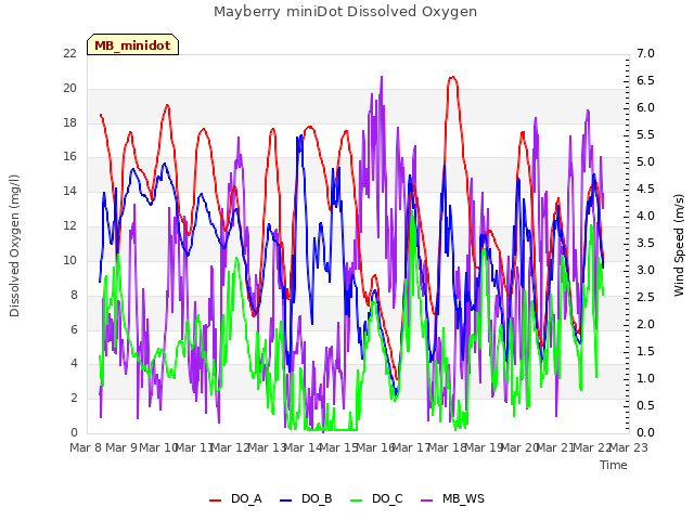 plot of Mayberry miniDot Dissolved Oxygen