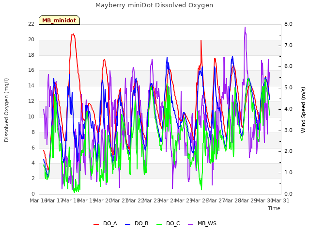 plot of Mayberry miniDot Dissolved Oxygen