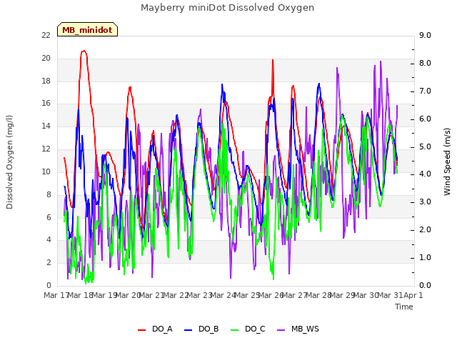 plot of Mayberry miniDot Dissolved Oxygen