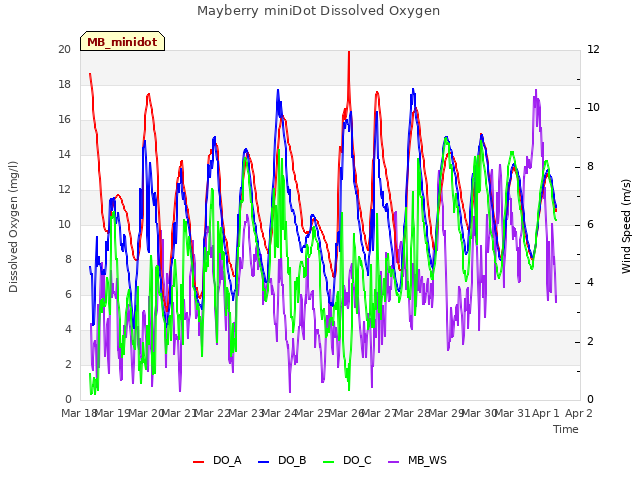 plot of Mayberry miniDot Dissolved Oxygen