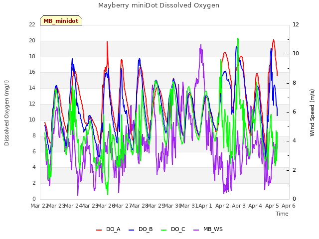 plot of Mayberry miniDot Dissolved Oxygen