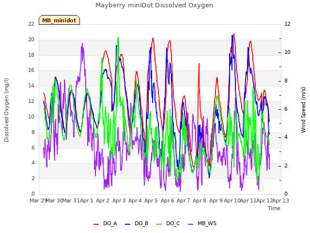 plot of Mayberry miniDot Dissolved Oxygen