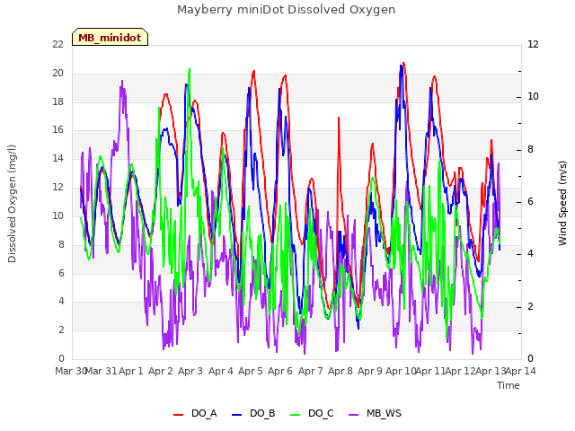 plot of Mayberry miniDot Dissolved Oxygen