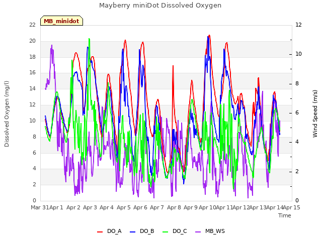 plot of Mayberry miniDot Dissolved Oxygen