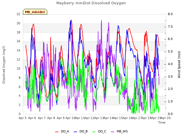 plot of Mayberry miniDot Dissolved Oxygen