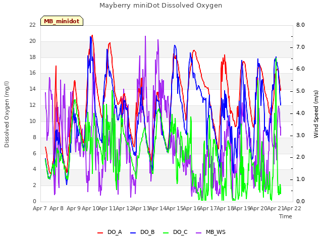 plot of Mayberry miniDot Dissolved Oxygen