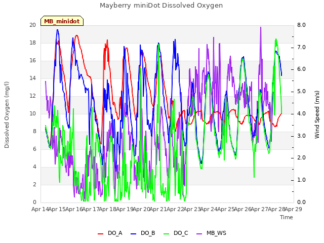 plot of Mayberry miniDot Dissolved Oxygen