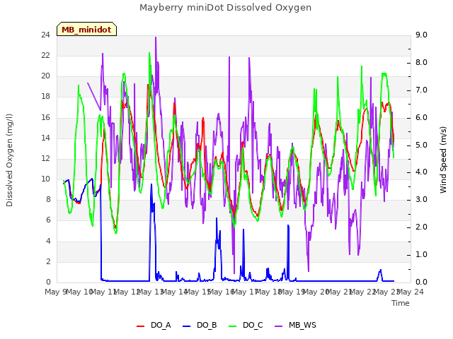 plot of Mayberry miniDot Dissolved Oxygen