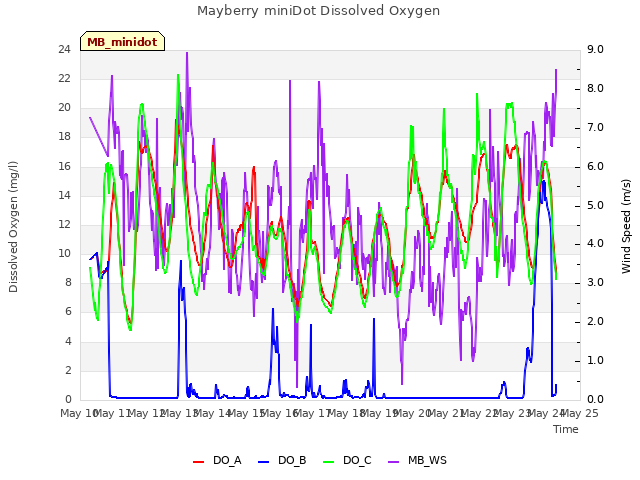 plot of Mayberry miniDot Dissolved Oxygen