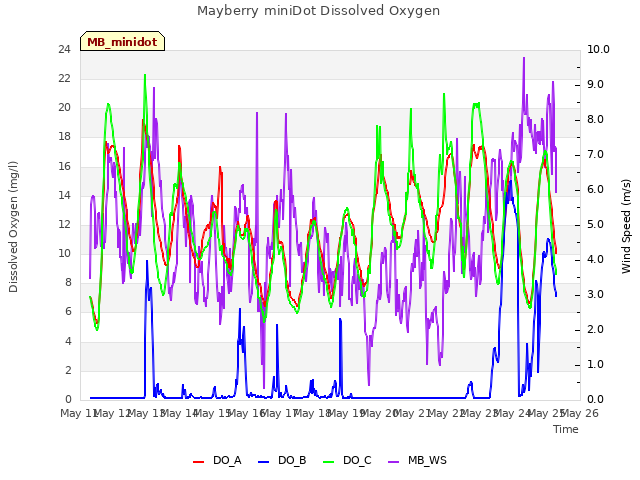 plot of Mayberry miniDot Dissolved Oxygen