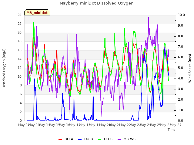 plot of Mayberry miniDot Dissolved Oxygen