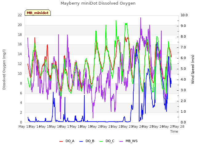 plot of Mayberry miniDot Dissolved Oxygen