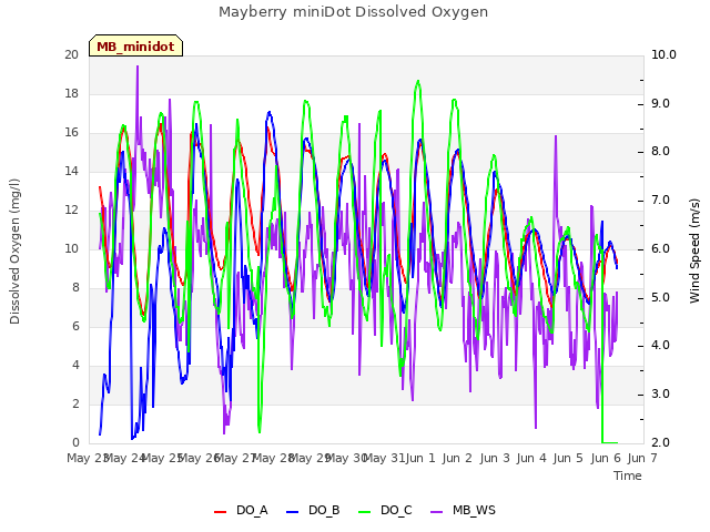 plot of Mayberry miniDot Dissolved Oxygen