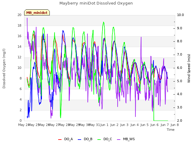 plot of Mayberry miniDot Dissolved Oxygen