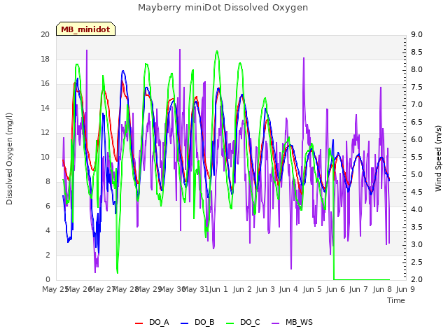 plot of Mayberry miniDot Dissolved Oxygen