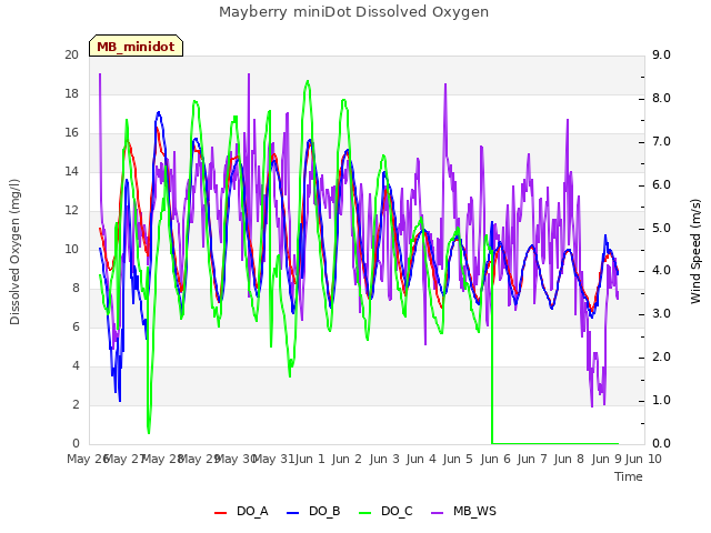 plot of Mayberry miniDot Dissolved Oxygen